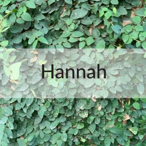 Northside Clinic - Hannah